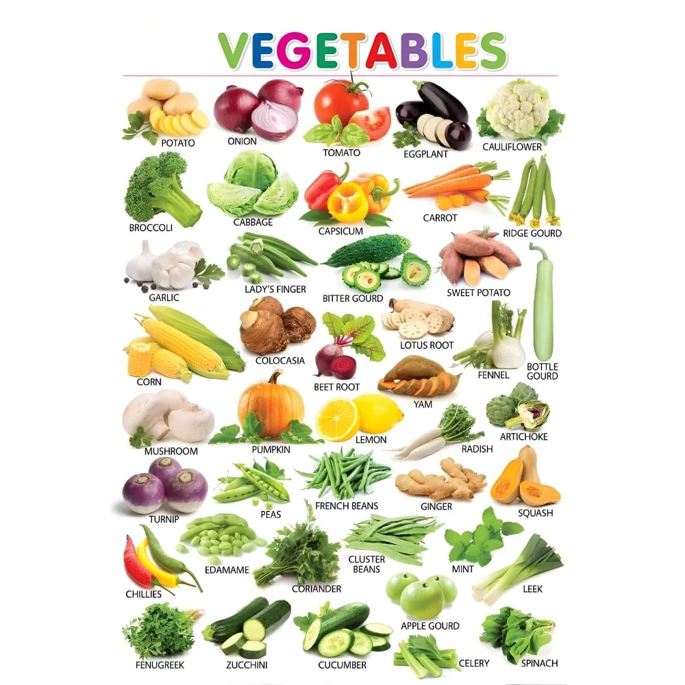 Craft Shipper Educational Learning Posters Wall Stickers for Kids Home School Nursery (18x24 inch) Alphabet Wild & Sea Animals Birds Fruits Vegetables Chart Self Adhesive Stickers (Vegetables Name-2)