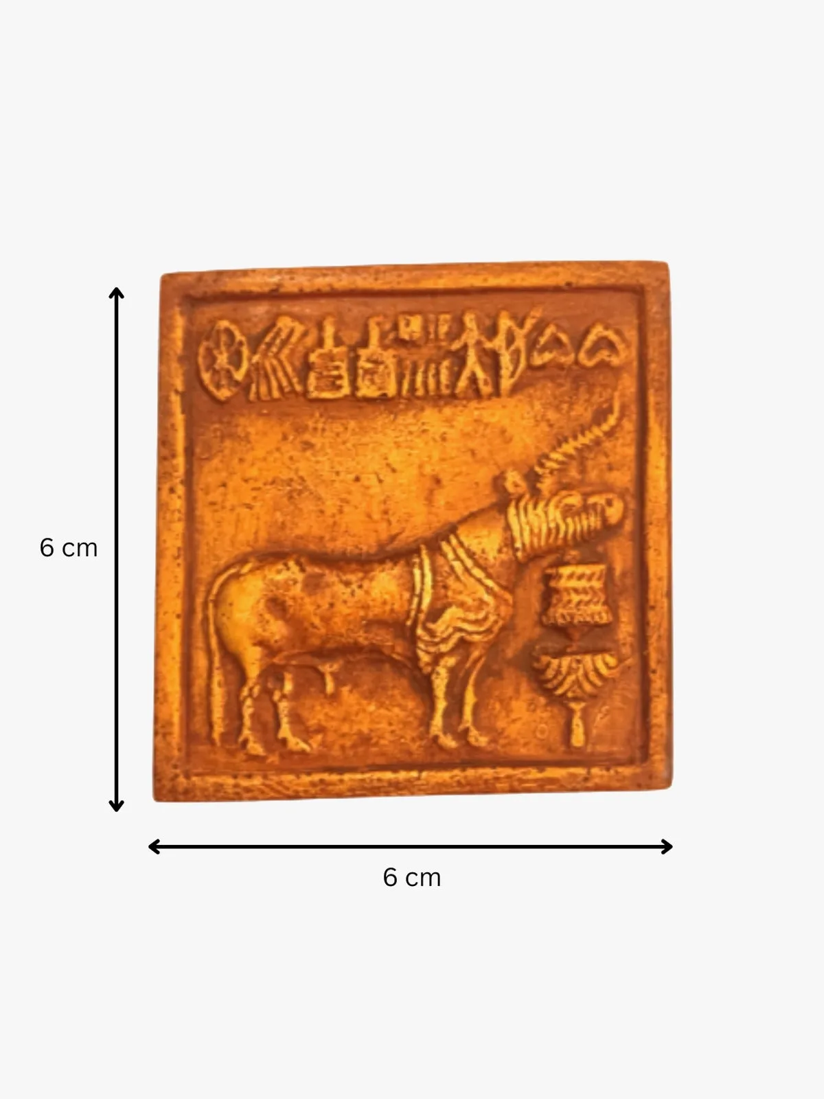 Fridge Magnets Set of 5