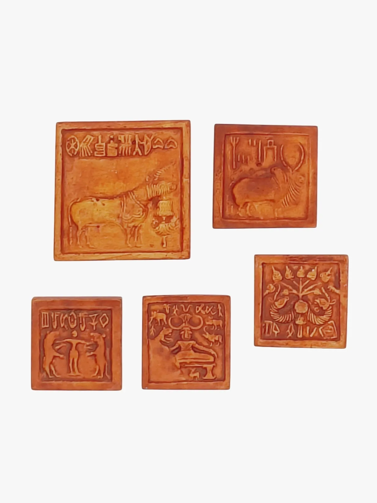 Fridge Magnets Set of 5