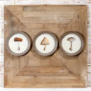Mushroom Wall Art