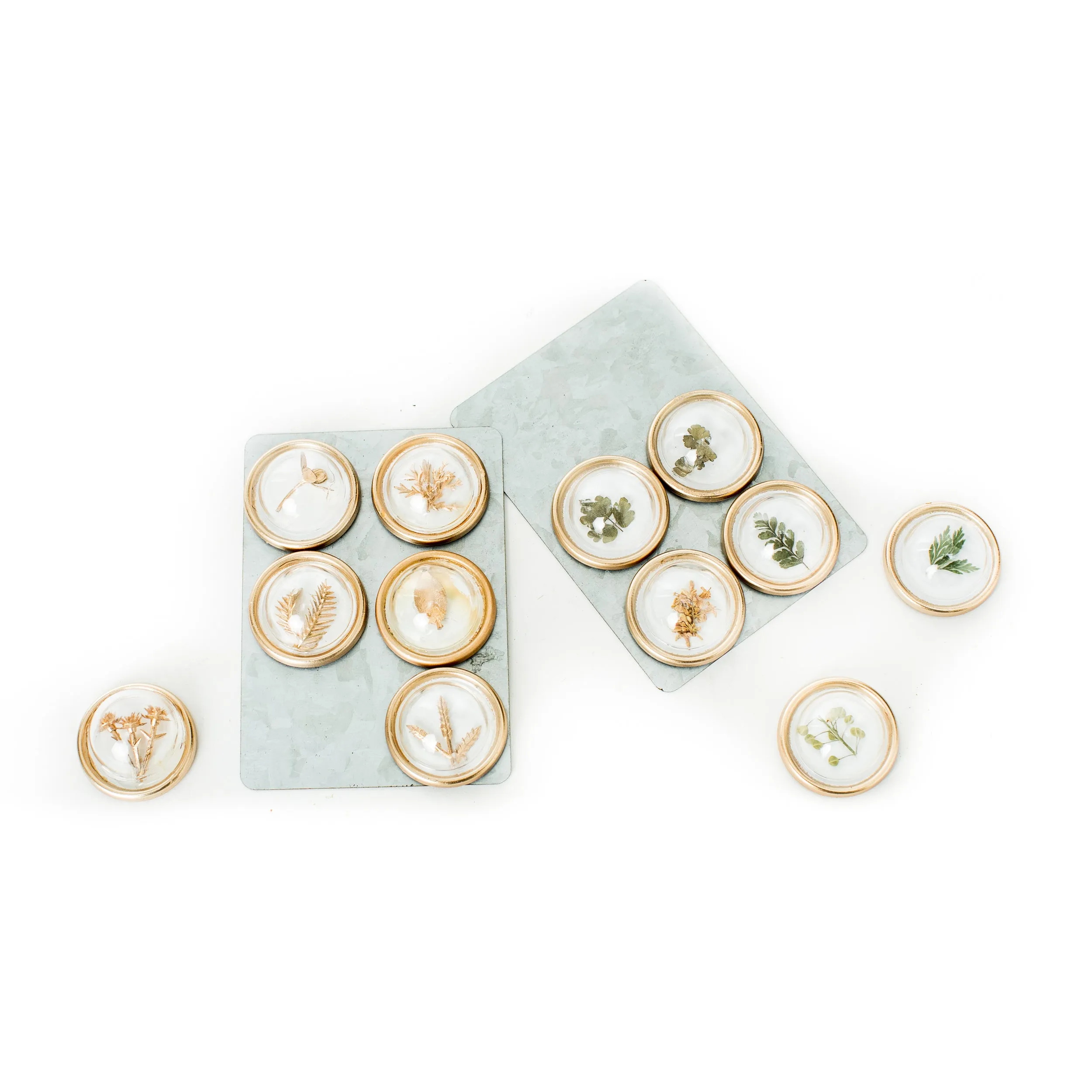 Petite Botanical Magnets (Set of 6)
