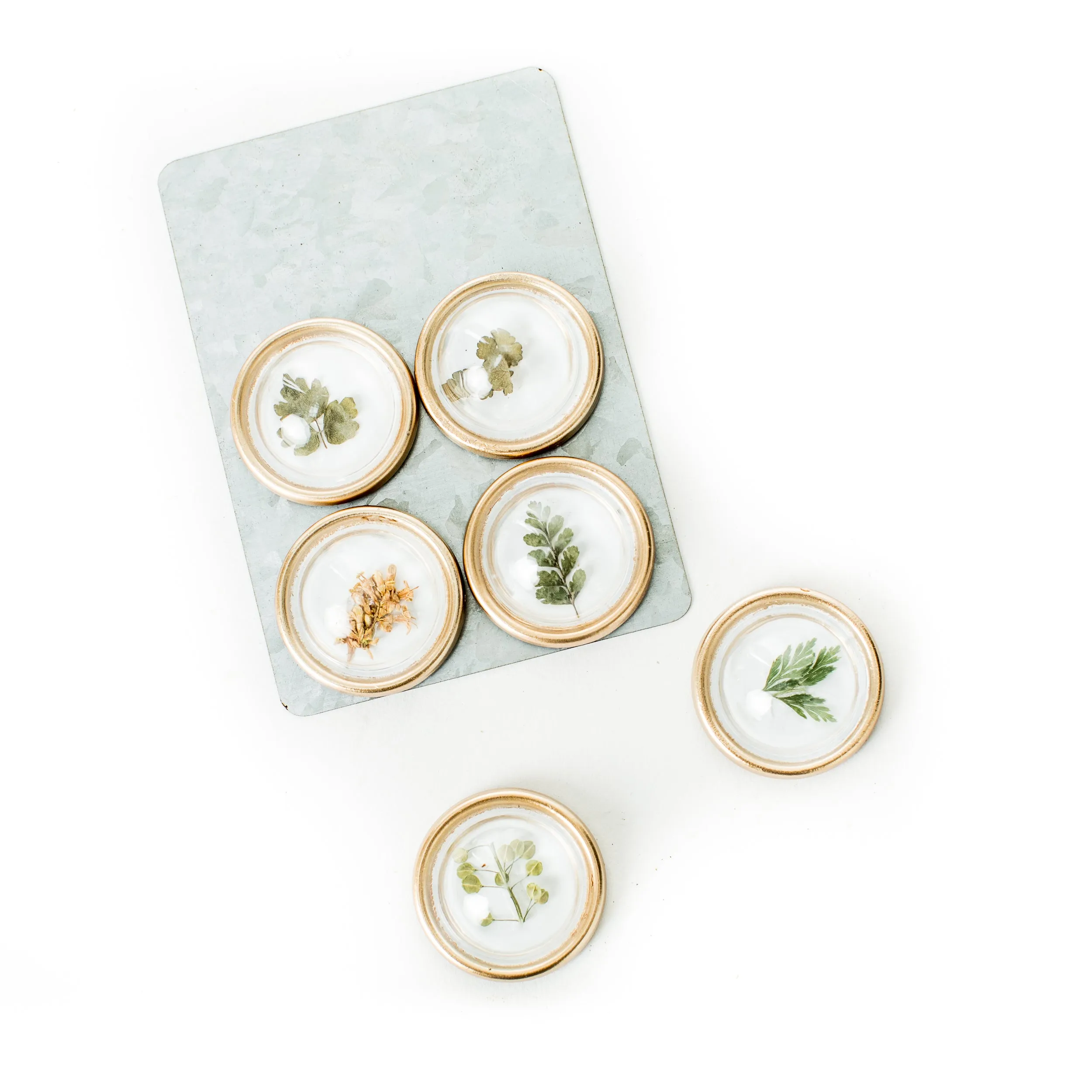 Petite Botanical Magnets (Set of 6)