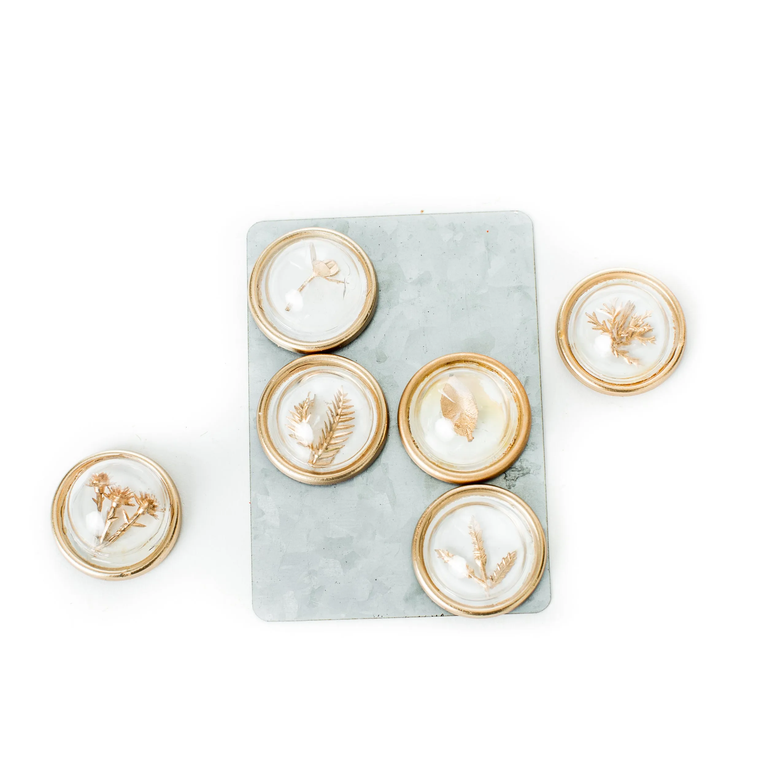 Petite Botanical Magnets (Set of 6)