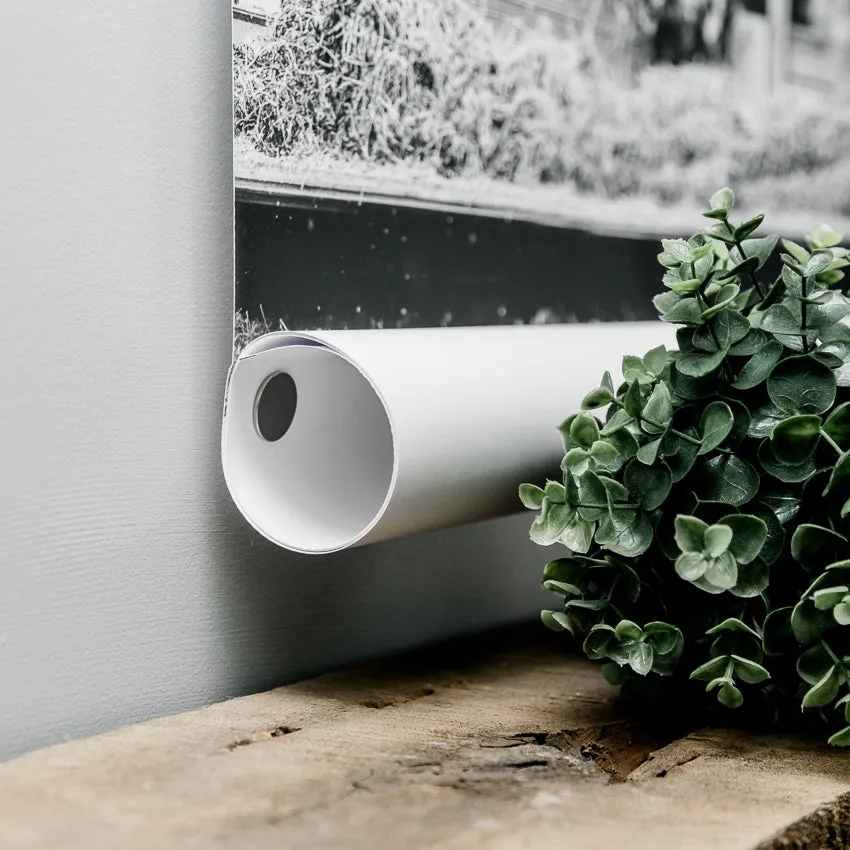 Scroll Magnets