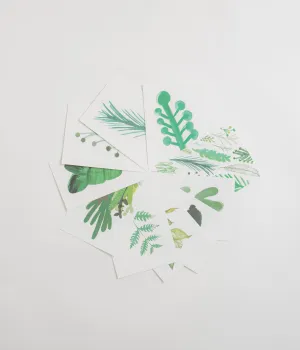 Studio Arhoj Botanica A5 Art Prints - Pack of 10
