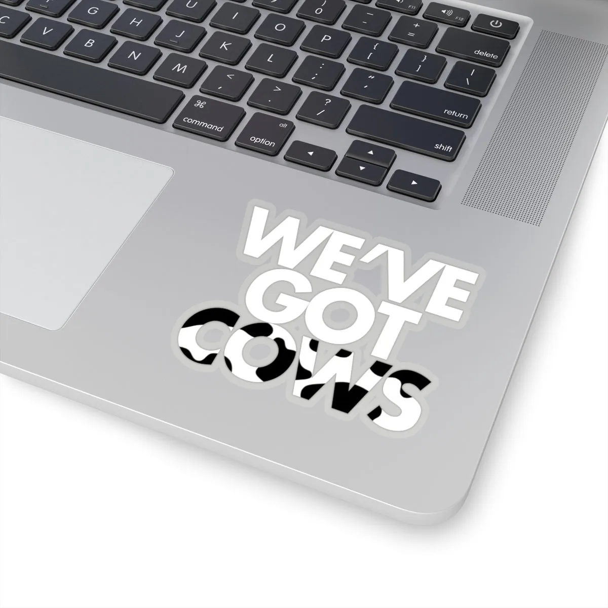 We've Got Cows Sticker